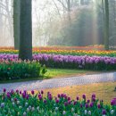 늘봄꽃화원 이미지