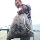 칠원체육관 이미지