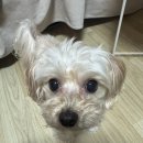 5월 둘째주 주간일기｜갈비뼈 박살이후 다시 돌아온 필테...그리고 끝나지 않는 식욕