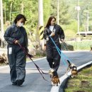 행복만줄개 이미지