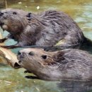 홍산의원 이미지