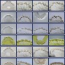 N치과기공소 이미지