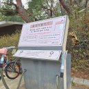 오금공원 | 오금공원 서울 유아숲체험장 모험놀이터 주말 찐후기 (ft.29개월아기)