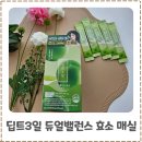 매실 | 브로멜라인 소화효소추천 딥트3일 듀얼밸런스 효소 매실 내돈내산 후기