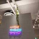 지리산프리방스 이미지