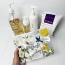 셀오션플러스 | [에끌라뒤땅 머미 세트 오픈] 환절기 수분·진정 풀케어 루틴! 미니어처 7종 + 선착순 사은품까지