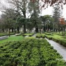 아리아 호스텔 이미지