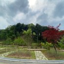 동두천자연휴양림 이미지