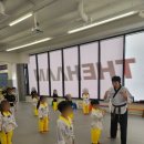 용인대더함태권도장 이미지