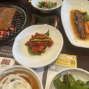 국화애견하우스 이미지