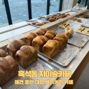 [흑석동 카페] 애견 동반 대형 베이커리 카페, 지이숲카페