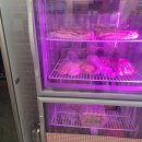 아양1로 이미지