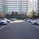 금탑공인중개사사무소 이미지