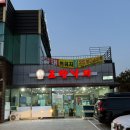 부산 명지 맛집 조방낙지 낙곱새 추천 내돈내산 후기