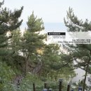 강릉 죽도봉 공원 합성목재 로프난간과 계단 이미지