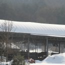 추동목장 이미지