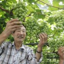 이종덕농장 이미지