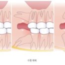 연미초등학교 이미지