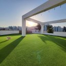 카르펫디엠 강아지유치원 이미지