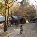 유치자연휴양림 관리사무소 이미지