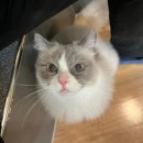 제원목장 이미지