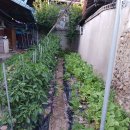 하나원주유소 이미지