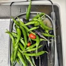 오곡농장 이미지