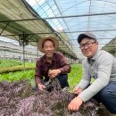 장안농장 이미지