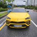 금룡카써비스상사 | 캐리어 대전에서 부산까지 람보르기니 우루스 탁송후기