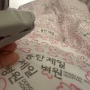 샐가 이미지