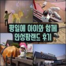 [평타육아] 평일에 아이와 함께 안성팜랜드 후기