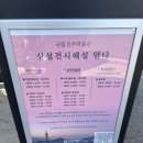 책과 함께 만나는 초등 미술 | 신라의 숨결을 느끼는 경주박물관, 초등아이와 함께한 생생 후기