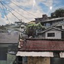 화정도서관 꽃뜰 이미지