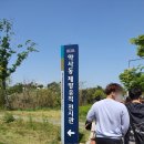 약사동 제방유적 | 울산 중구 약사동 제방유적전시관(feat.울산 아이들과 가볼만한 곳!)
