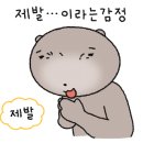 살롱드엘 네이버블로그