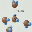 산도라고 불리는 수소이온 농도 (ph)의 의미 바로알기 이미지