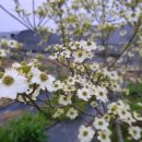 화포농장 이미지