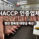 대장금 축산