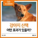 정평동물병원 이미지