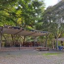 하림식당 이미지