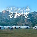 푸른숲약국 | 몽골여행 고비사막 투어 | 테를지에서 승마를 추천하는 이유, 마유주 시식을 비추하는 이유