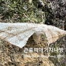 큰홍띠애기자나방 충남 금산군 복수면 이미지