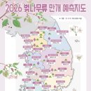 2026 벚꽃 만개 예측지도 &amp; 부산경남 벚꽃명소 이미지