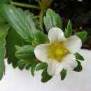 비량농원 이미지