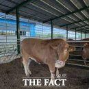 미혜농장 이미지