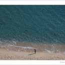 바다의 향기 이미지