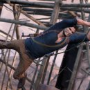 Fall in dog 이미지