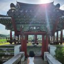 유등연지 | [유등연지] 청도여행 청도 8경중 5경 신라지 유호연지 연꽃 후기