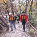 대성빨래터 이미지