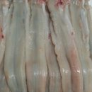 통영바다장어구이 이미지